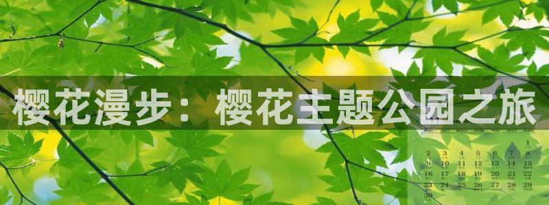 神马影院在线观看免费视频
