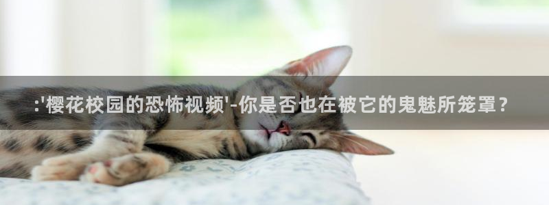 神马影院免费播放