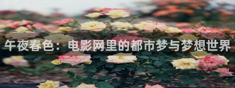 星空国际影城