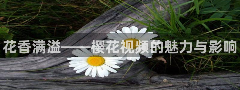 神马影院正版免费下载
