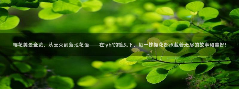 星空视频影视大全免