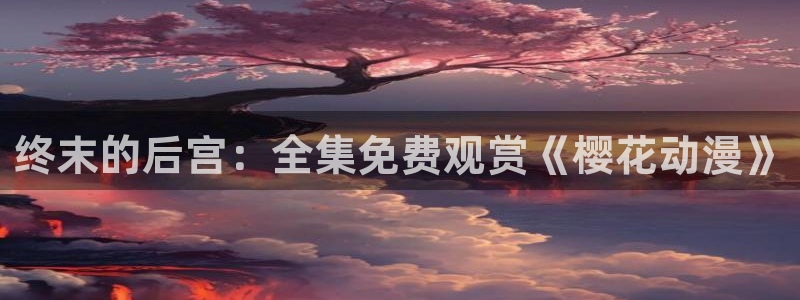仰望那片星空