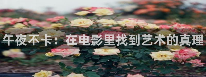 神马影院电视剧2020