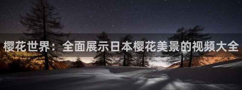 神马影院在线观看