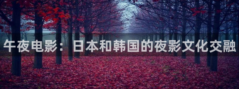 星空视频影视大全观看