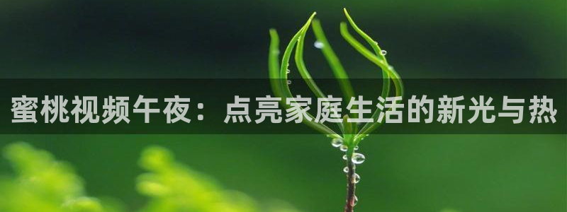 星空传媒 在线观看