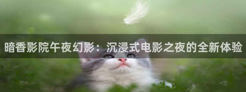 神马影院在线观看免费播放