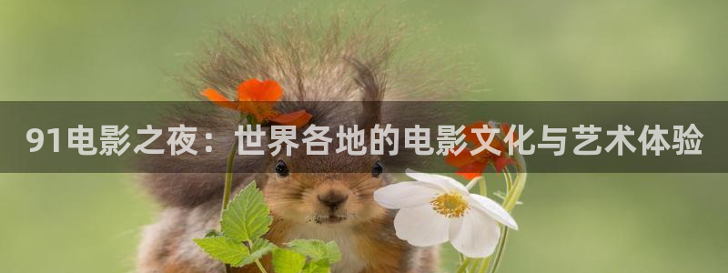 星空传媒影片