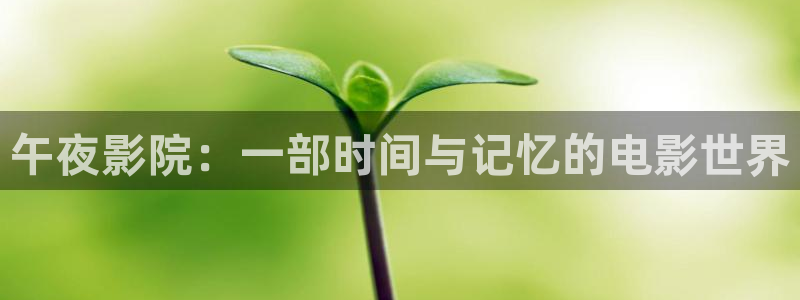 神马影院大全在线观看电视剧