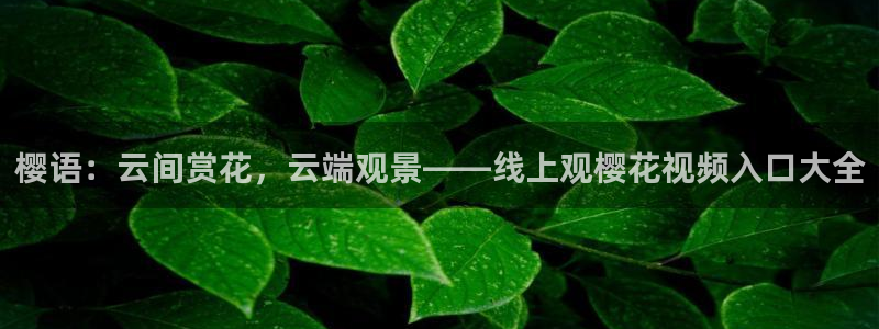 星空传媒影视mv免费