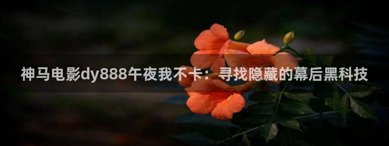 星空的歌曲