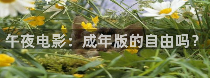 星空视频影视