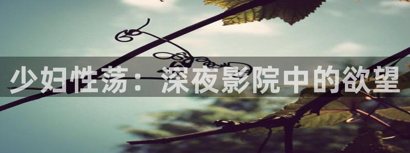 星空在线电影