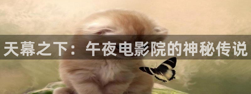 神马影院电视剧在线观看大全