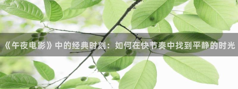 星空传媒影视免费下载