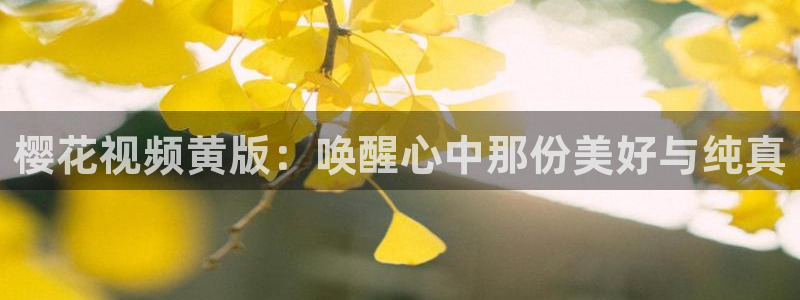 星空无限传媒观看