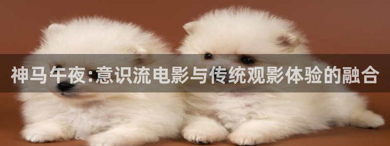 神马影院电影在线看