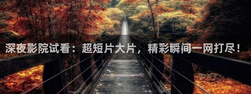 星空影视在线免费观看电影