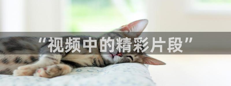 脱轨星空影视