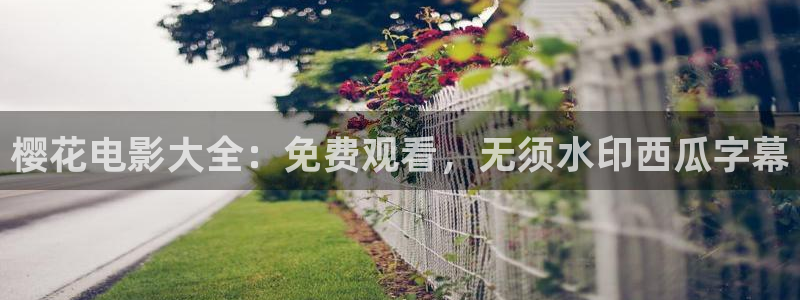 星空电影网完整免费观看