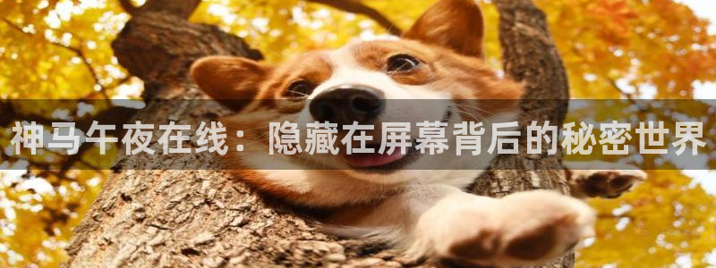 铜仁星空影城今日影讯