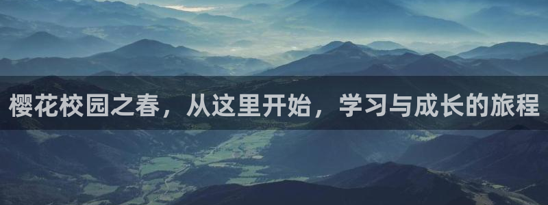 神马影院电视剧免费观看完整版