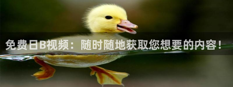 神马影院大片