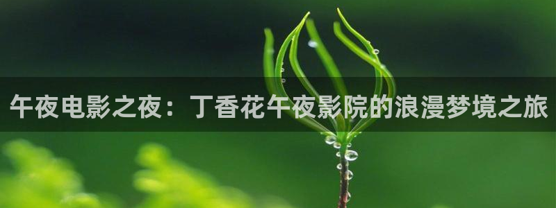 神马影院免费观看电视剧大全最新
