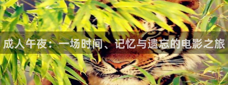 神马影院免费观看电视剧电影大全最