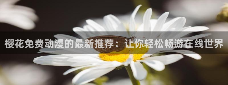 星空影视在线观