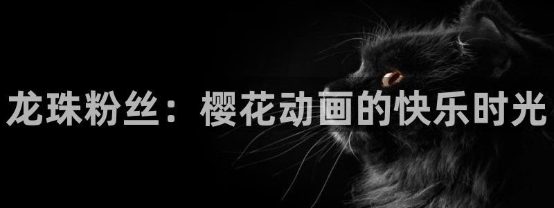 神马影院高清电影好看的电视剧繁花