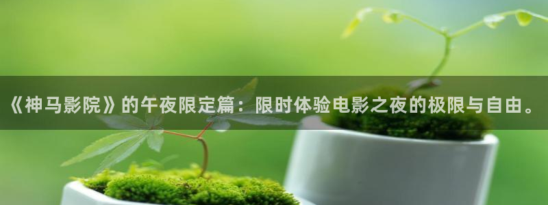 神马影院云飞跃